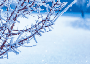 Прогноз погоды на субботу, 21 февраля