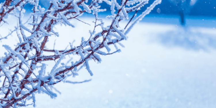 Прогноз погоды на субботу, 21 февраля