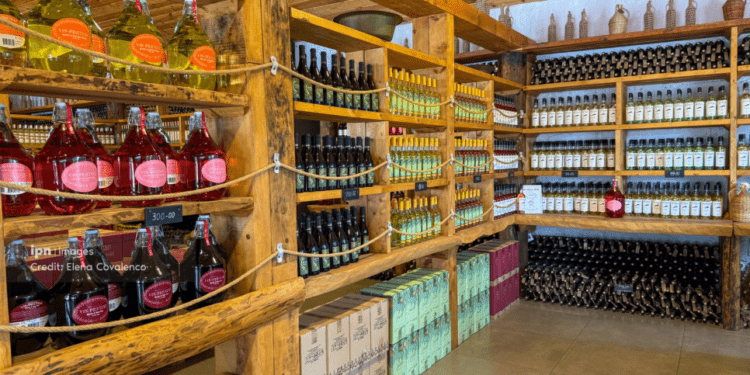 Ucraina pregătește restricții pentru vinurile moldovenești. Kievul invocă un răspuns la interdicția privind carnea de pasăre