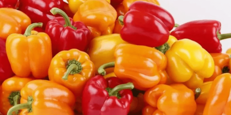 Партия импортного перца, загрязненного пестицидами, была уничтожена до того, как попала на рынок