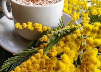 Прогноз погоды на 4 марта: солнечная погода и весеннее тепло на всей территории страны