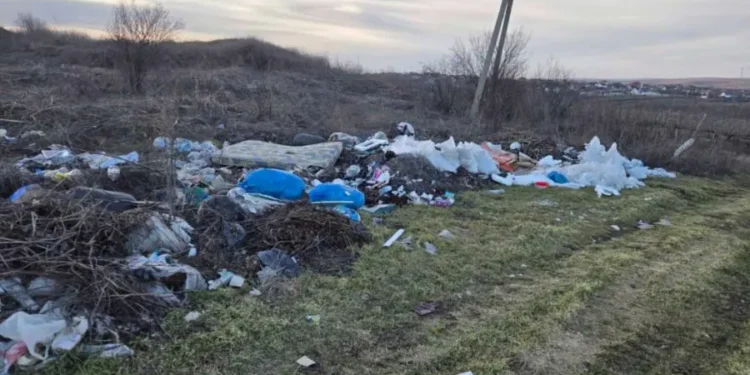 Saci cu gunoi aruncați pe câmpurile din Costești. Primăria: Vom face public numele persoanei vinovate