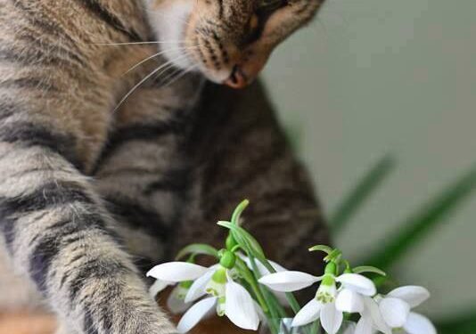 Каким будет этот день: прогноз погоды в Молдове на 6 марта