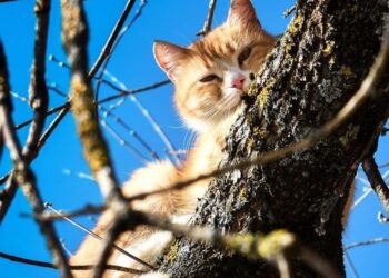 Прогноз погоды на 10 марта: ясное небо и потепление до +18°C