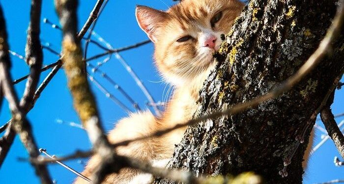 Прогноз погоды на 10 марта: ясное небо и потепление до +18°C