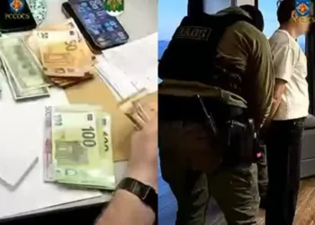 Свыше 1900 жертв канала «Car Vertical»: администратор задержан, платформа закрыта