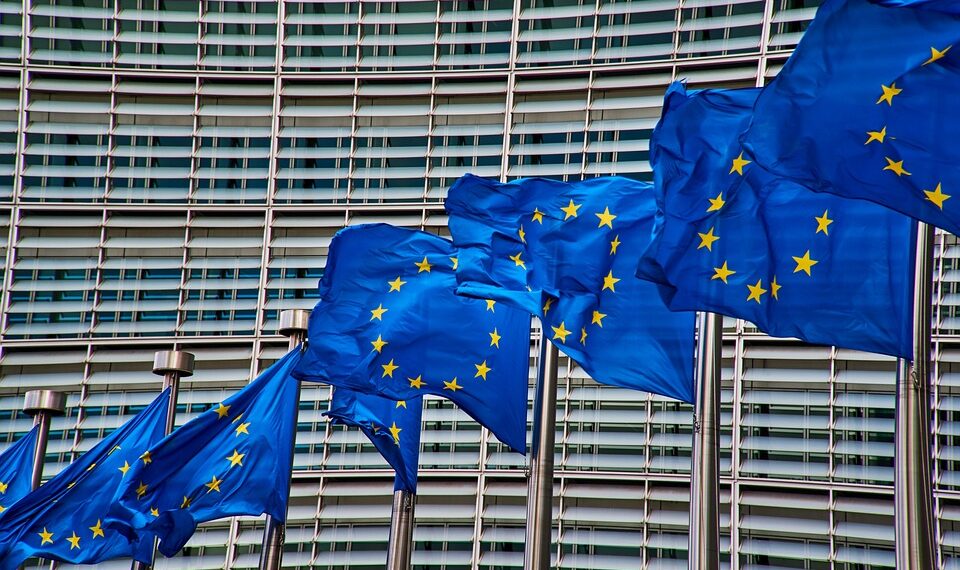 Еврокомиссия раскритиковала изменение закона для назначения Германа фон Хебеля