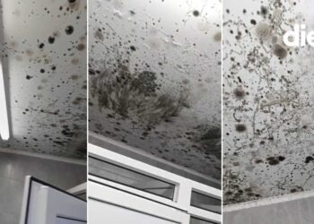 В Кишинёве студенты одного из общежитий жалуются на плесень после недавнего ремонта