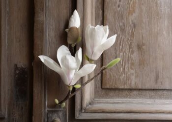 Prognoza meteo pentru 27 martie: Cer variabil și temperaturi de până la 18°C