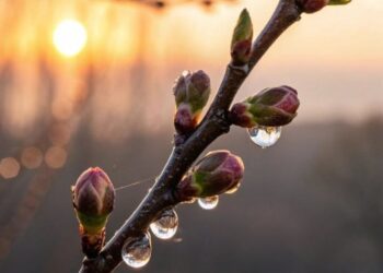 Прогноз погоды на 30 марта: слабые дожди и температура до +19°C