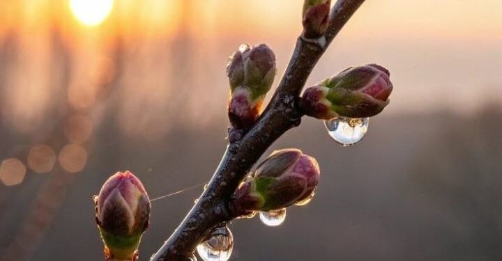 Прогноз погоды на 30 марта: слабые дожди и температура до +19°C