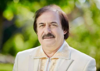 Артист-волонтёр? НОН не нашел нарушений в выступлениях Николая Ботгроса