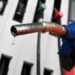 Австрия и Италия сокращают налоги на топливо из-за энергетического кризиса