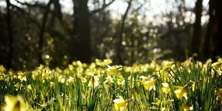 Прогноз погоды на 25 марта