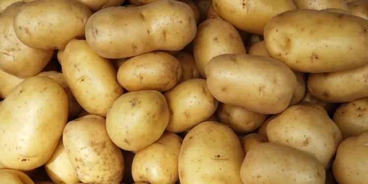 Cartofii sunt aproape lipsiți de valoare în Europa din cauza stocurilor mari