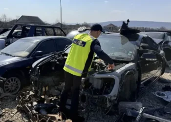 В Оргеевском районе пресекли незаконную разборку автомобилей на иностранных номерах