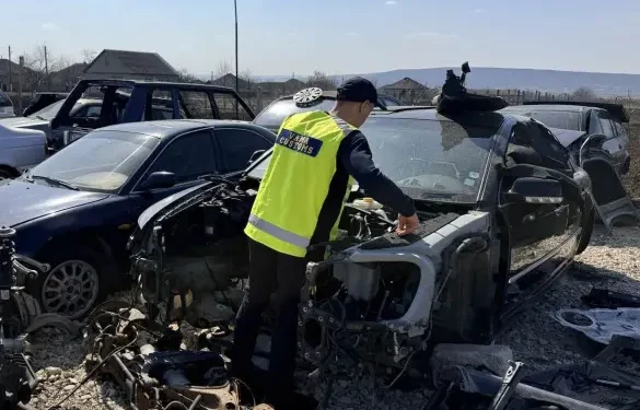 В Оргеевском районе пресекли незаконную разборку автомобилей на иностранных номерах