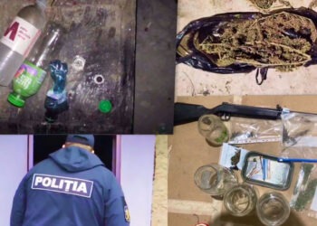 Descinderi la Hîncești: droguri și arme confiscate