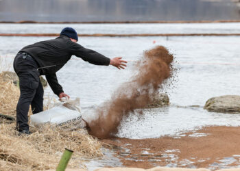 Hajder, în Parlament, cu o nouă-veche versiune despre substanța ajunsă în Nistru