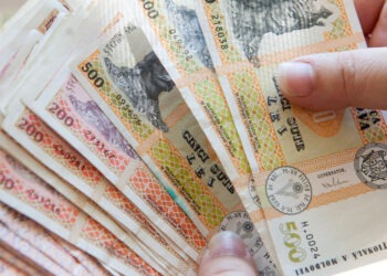 Salarii de 100.000 de lei, în comisia vetting: este obositor, spune vicepreședinta.