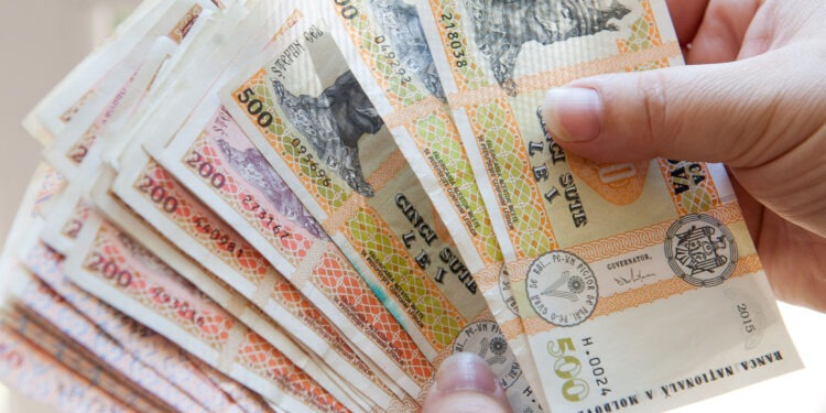 Salarii de 100.000 de lei, în comisia vetting: este obositor, spune vicepreședinta.