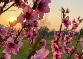 Vreme caldă și cer variabil în Republica Moldova