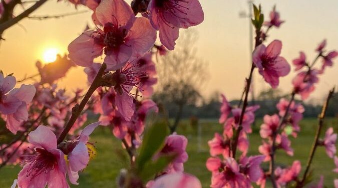 Vreme caldă și cer variabil în Republica Moldova