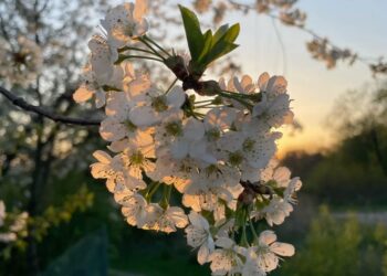 Vreme stabilă în toată țara: fără ploi și temperaturi confortabile