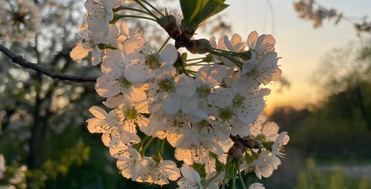 Vreme stabilă în toată țara: fără ploi și temperaturi confortabile