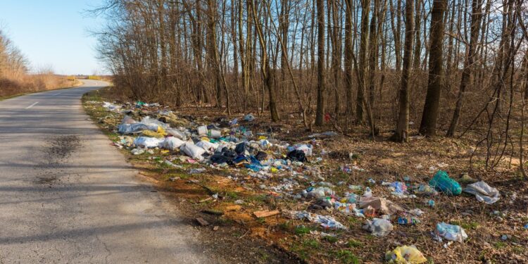 Мусорные поля. Как из-за стихийных свалок и бездействия властей отходы попадают в продукты