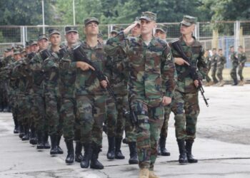 Всеобщая военная подготовка в Молдове: Мужчин до 55 лет могут обязать проходить обучение