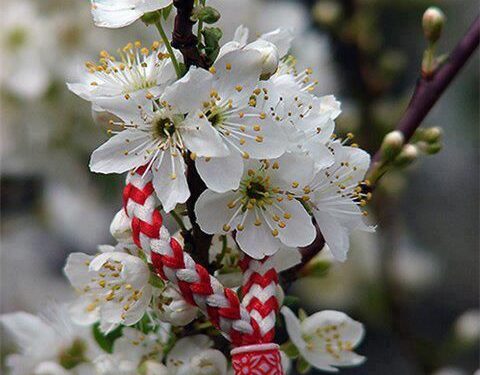 Vreme stabilă astăzi în Republica Moldova: ceață dimineața și temperaturi de până la +11°C