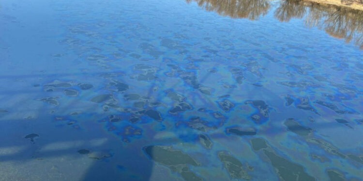 Что в Днестре? Почему власти до сих пор не дают чётких ответов