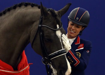 Скандал в Турции: в бесплатной столовой подали мясо скаковой лошади под видом говядины