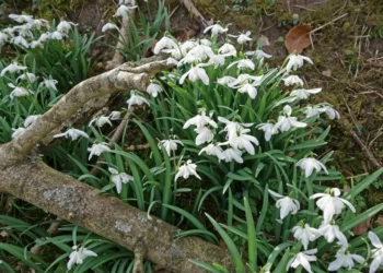 Прогноз погоды на 14 марта: ожидается преимущественно спокойная погода без резких изменений