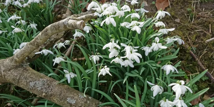 Прогноз погоды на 14 марта: ожидается преимущественно спокойная погода без резких изменений