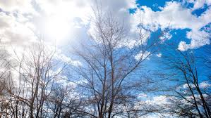 Прогноз погоды на 20 марта