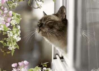 Прогноз погоды на 22 марта