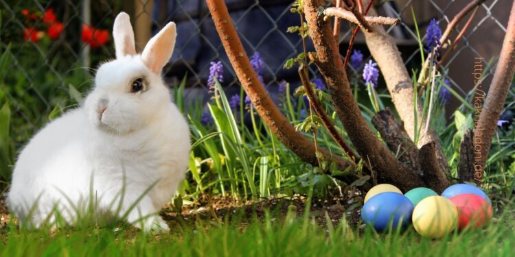 Католическая Пасха в Германии может пройти на фоне дефицита яиц