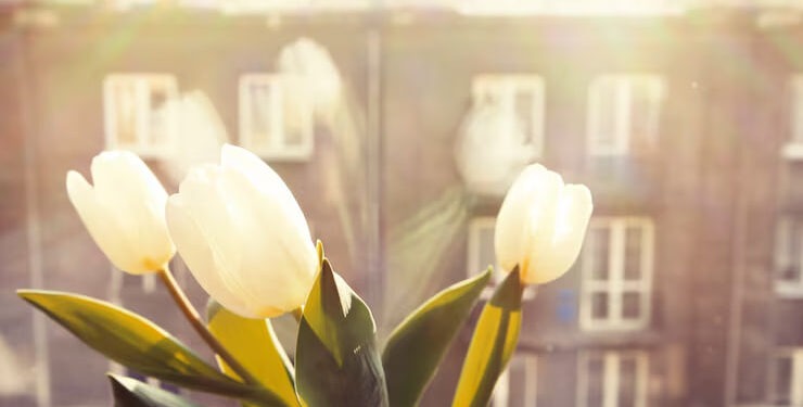 Погода на 21 марта