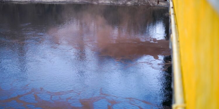 Загрязнение Днестра вызывает вопросы: противоречивые заявления и отсутствие ограничений в Украине