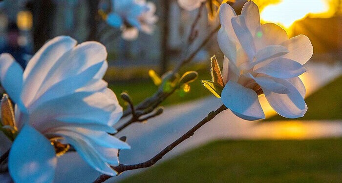 Прогноз погоды на 28 марта