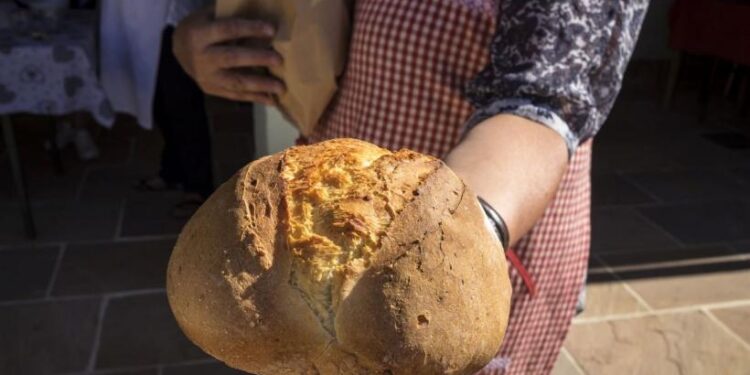 В Румынии ожидается рост цен на хлеб и продукты питания