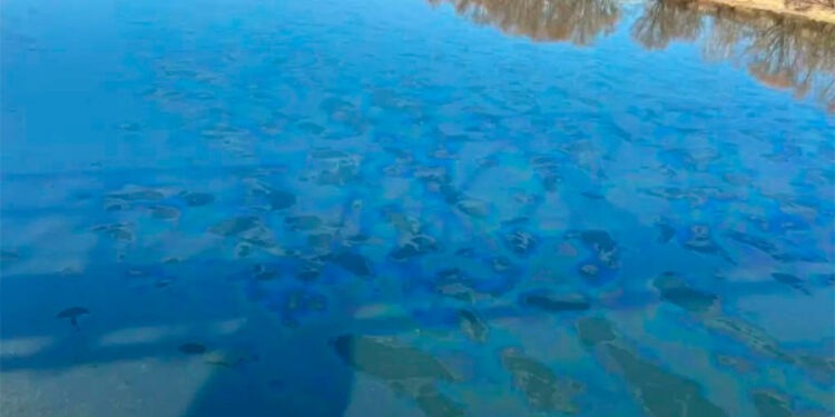 Нефтепродукты на Днестре 14 марта достигли Приднестровья