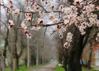 Прогноз погоды на 12 апреля