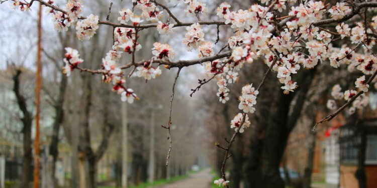 Прогноз погоды на 12 апреля