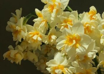 Прогноз погоды на 28 апреля: Переменная облачность и температура до +18°C