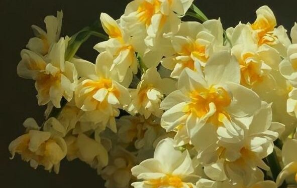 Прогноз погоды на 28 апреля: Переменная облачность и температура до +18°C