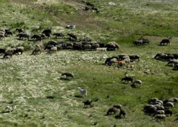 Dezastru în câmp! Peste 46.000 de oameni au abandonat agricultura
