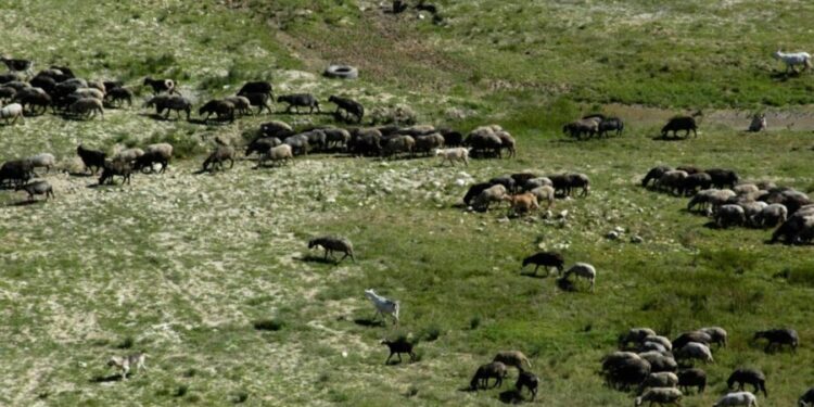 Dezastru în câmp! Peste 46.000 de oameni au abandonat agricultura
